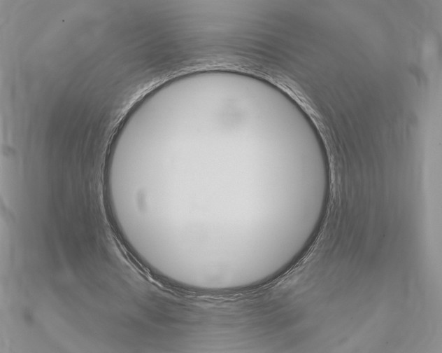 X0000090960434200708021124