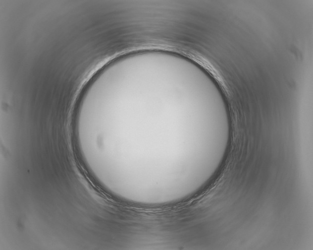 X0000090960436200708021125