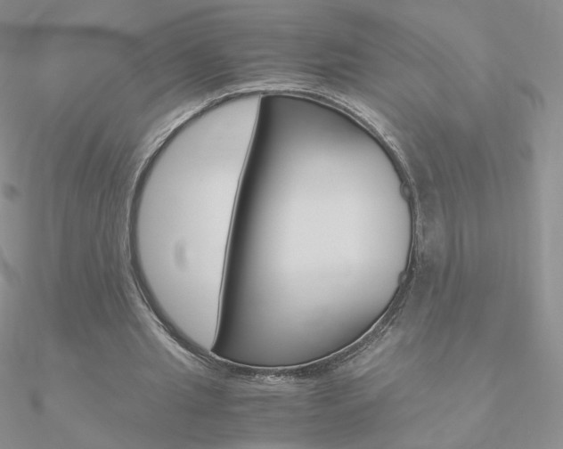 X0000090960437200708021125