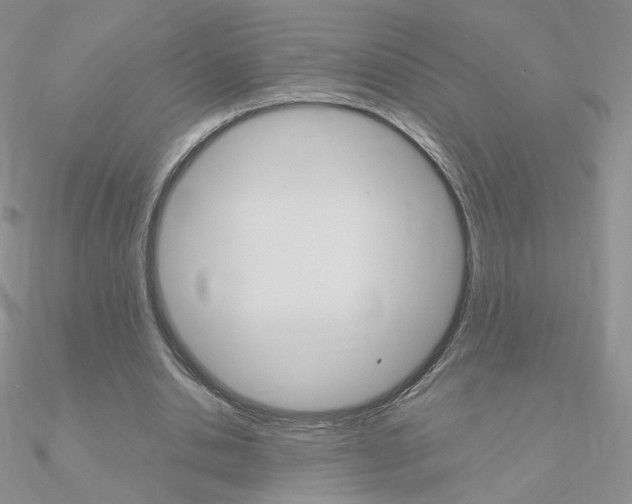 X0000090960438200708021125