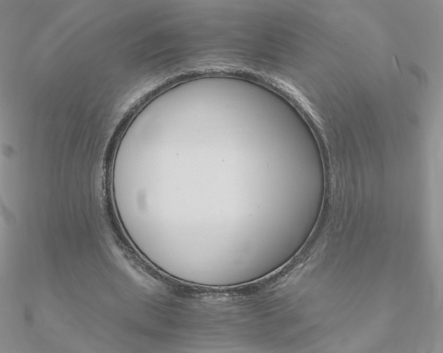 X0000090960439200708021125