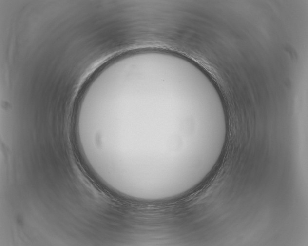 X0000090960440200708021125
