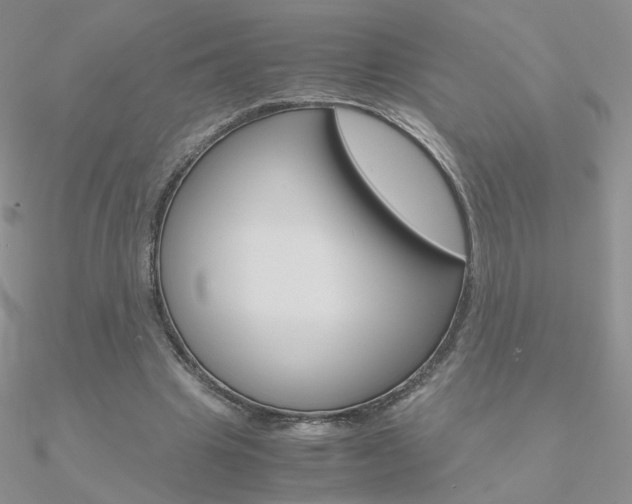 X0000090960441200708021125