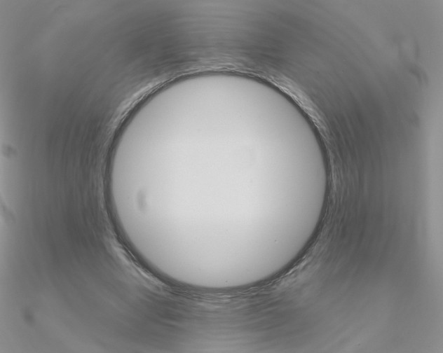 X0000090960442200708021125