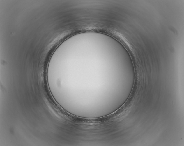 X0000090960443200708021125