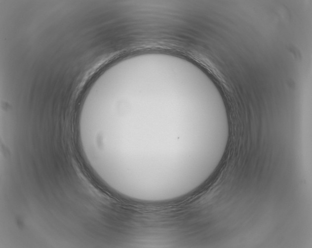 X0000090960444200708021125