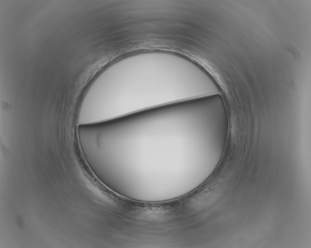 X0000090960445200708021125