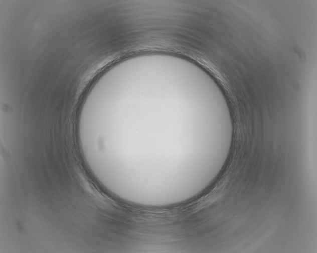 X0000090960446200708021125