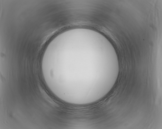 X0000090960448200708021125