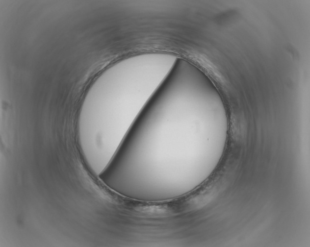 X0000090960449200708021125
