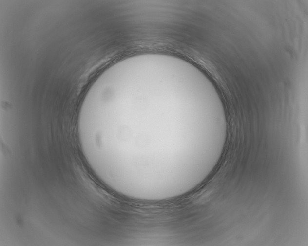 X0000090960450200708021125