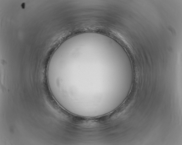X0000090960451200708021125