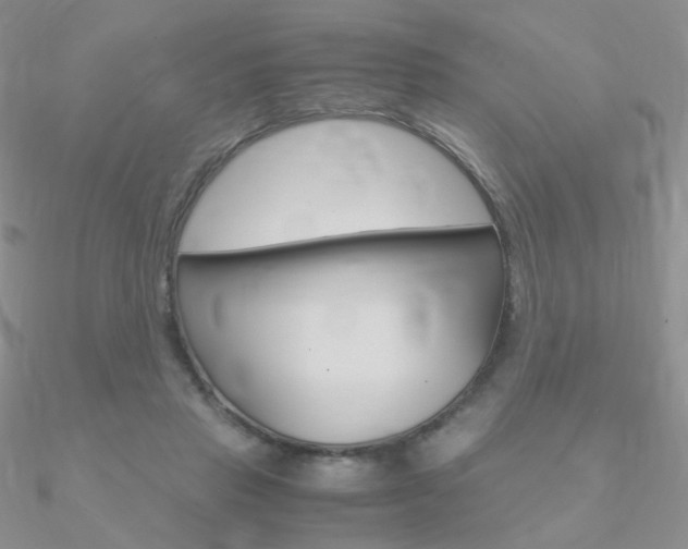 X0000090960453200708021125