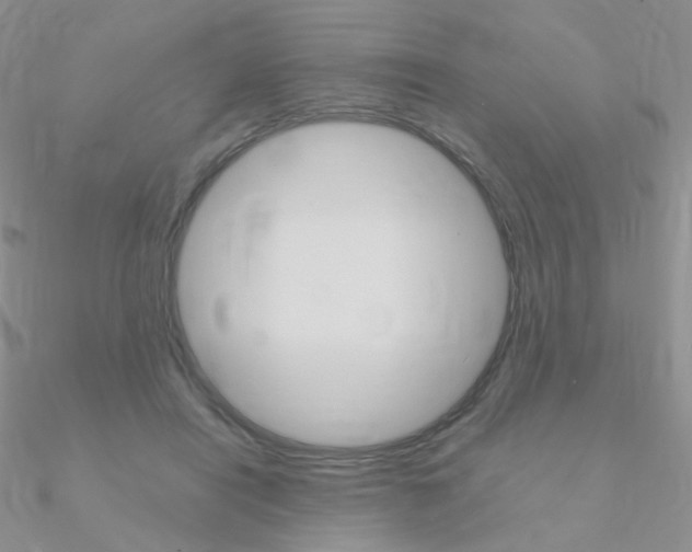 X0000090960454200708021125