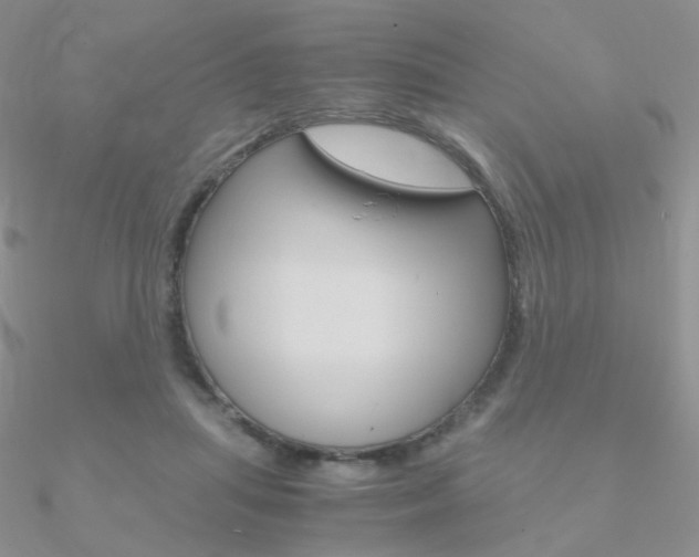 X0000090960455200708021125