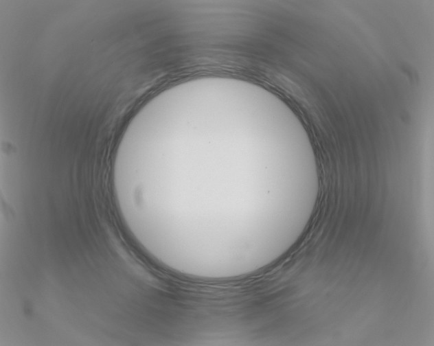 X0000090960456200708021125