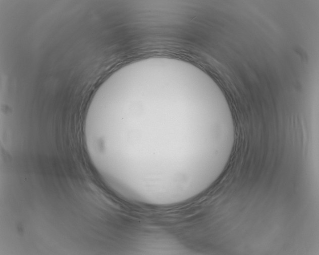 X0000090960460200708021125