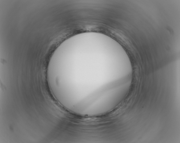 X0000090960461200708021125