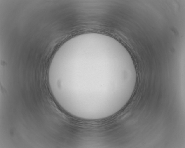 X0000090960462200708021125