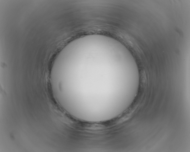 X0000090960463200708021125