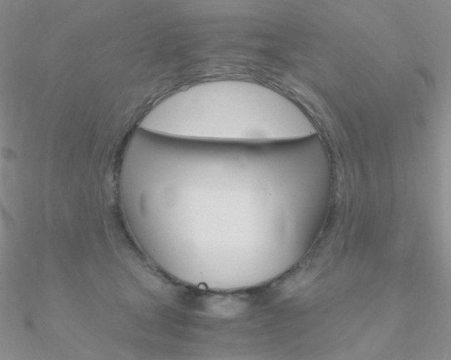 X0000090960465200708021125