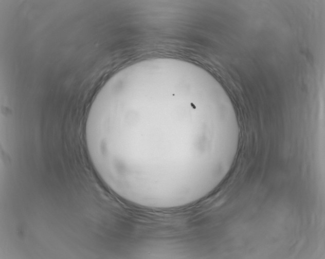 X0000090960466200708021125