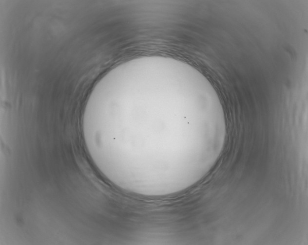 X0000090960468200708021125