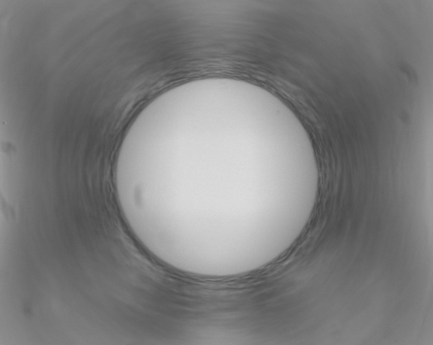 X0000090960470200708021125