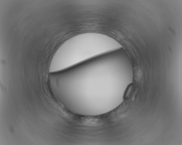 X0000090960471200708021125