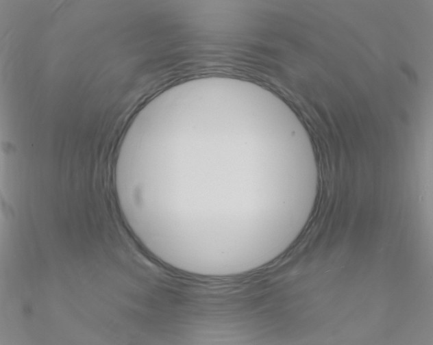 X0000090960474200708021125
