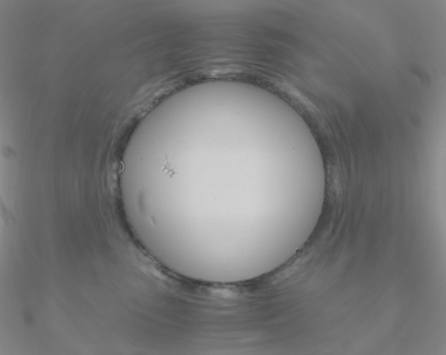 X0000090960475200708021125