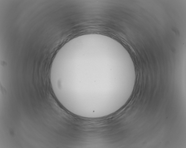 X0000090960476200708021125