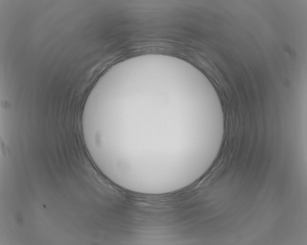 X0000090960478200708021125