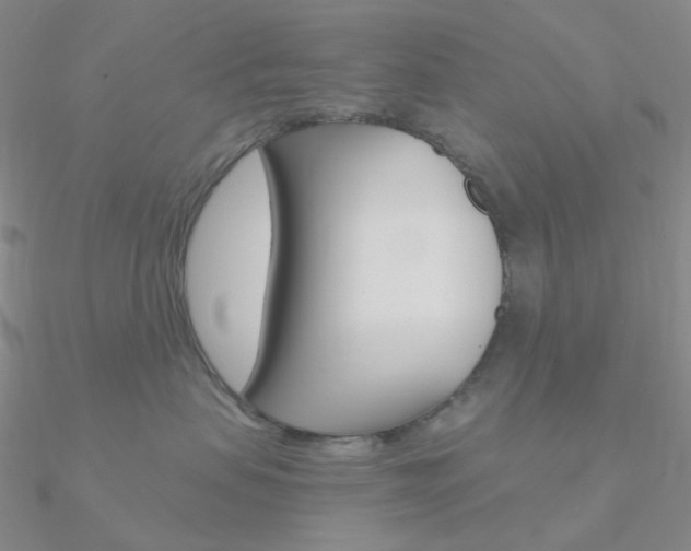 X0000090960479200708021125