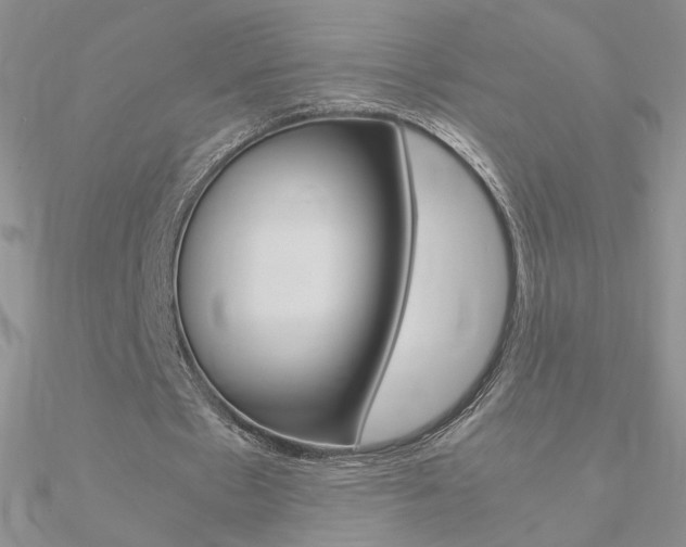 X0000090960481200708021124