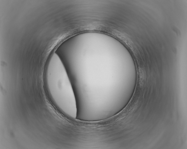 X0000090960482200708021124