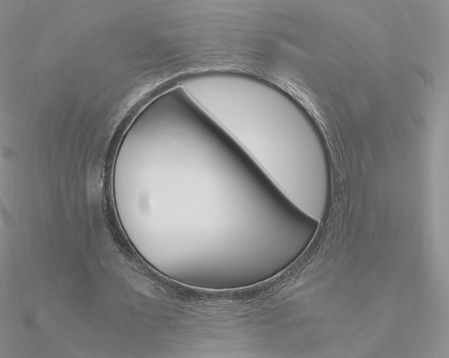 X0000090960483200708021124