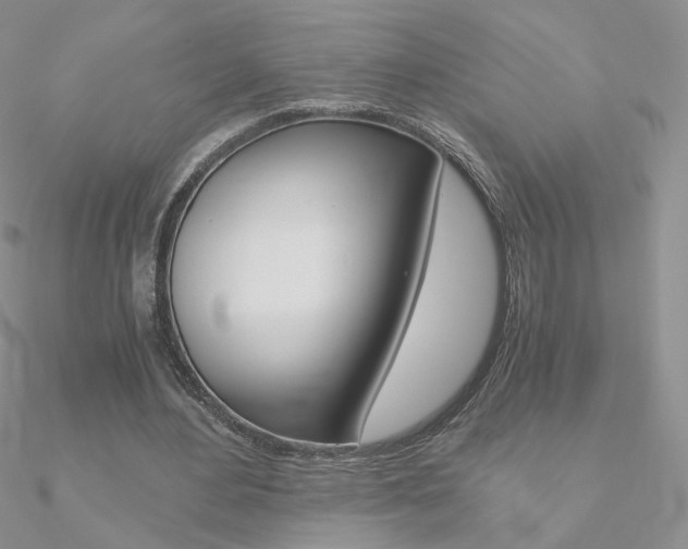 X0000090960484200708021124