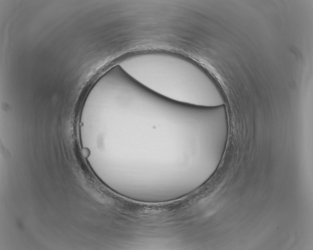 X0000090960487200708021124