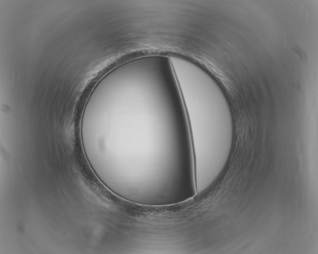 X0000090960488200708021124