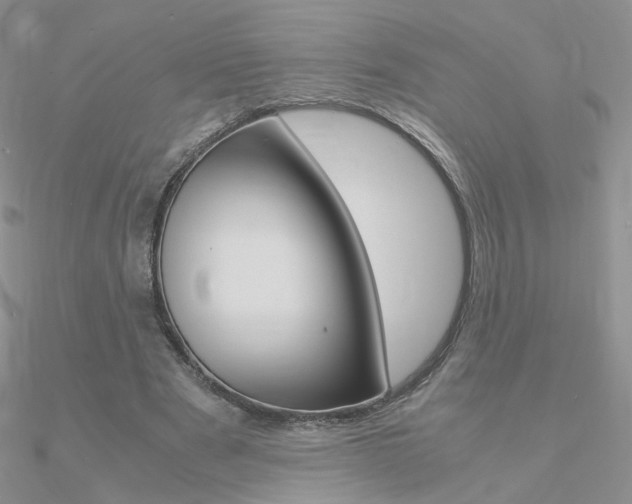 X0000090960489200708021124