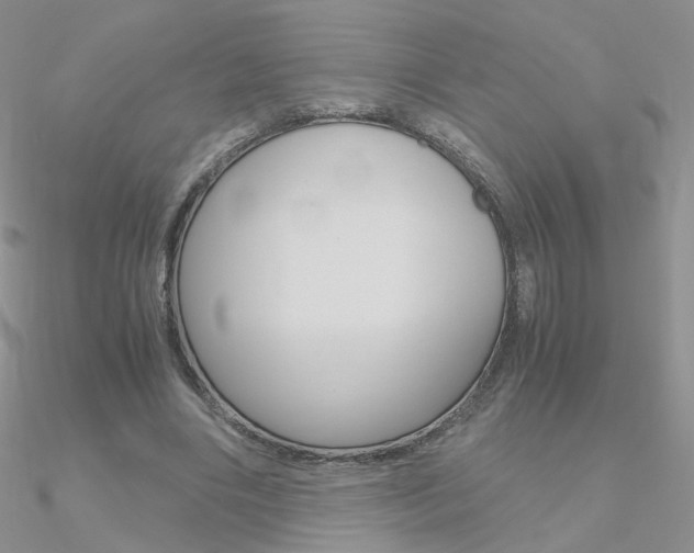 X0000090960490200708021124