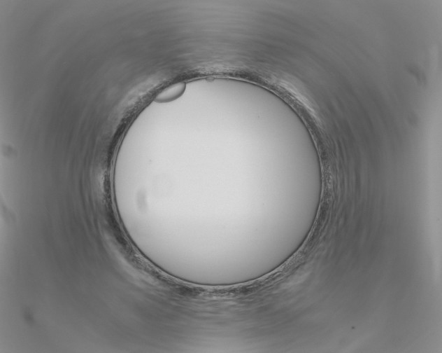 X0000090960491200708021124
