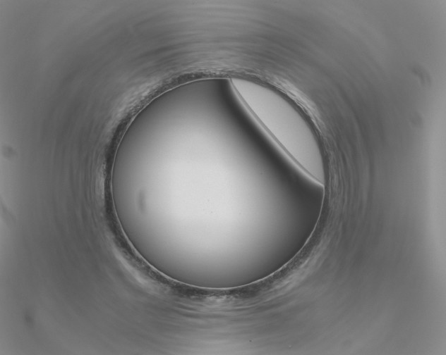 X0000090960493200708021124