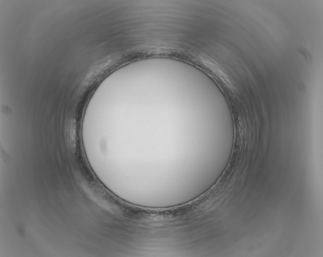 X0000090960494200708021124