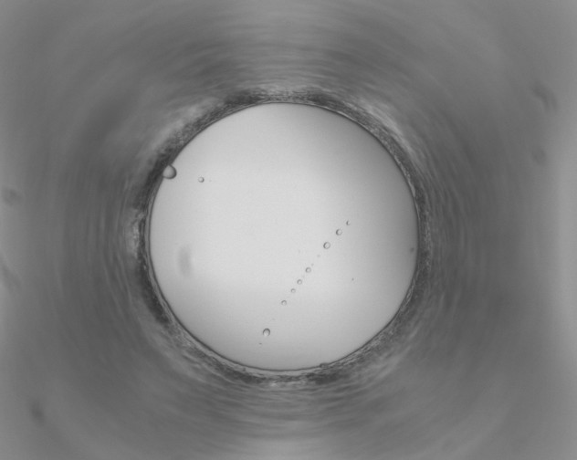 X0000090960495200708021124