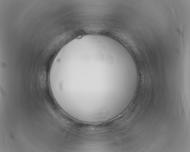X0000090960498200708021124
