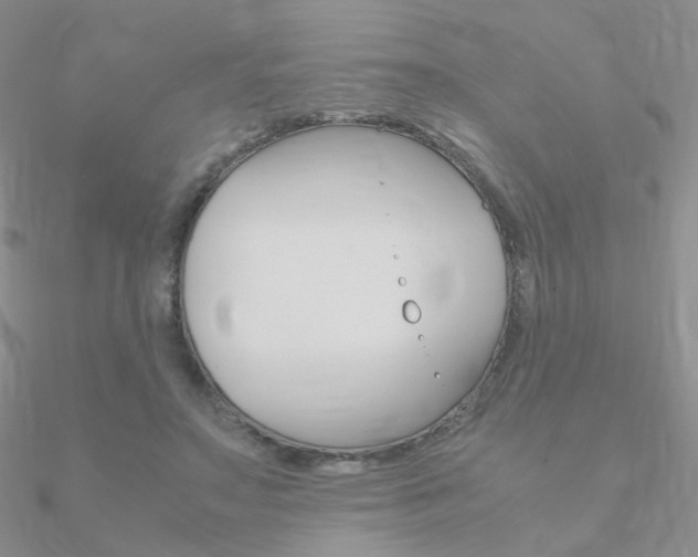 X0000090960499200708021124