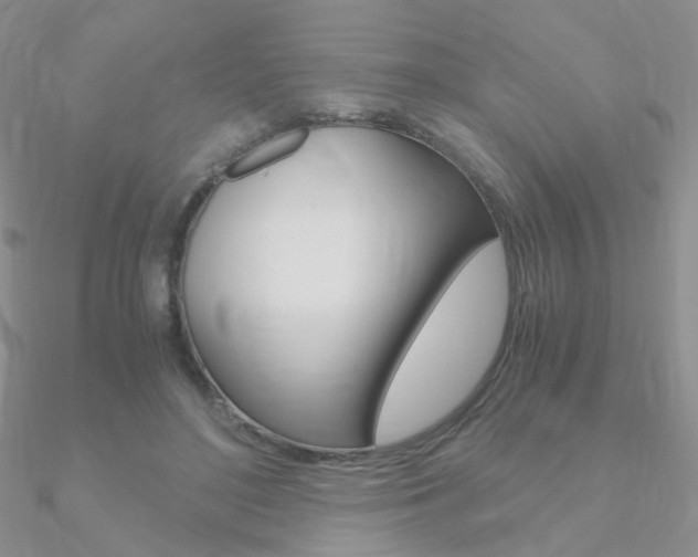 X0000090960500200708021124