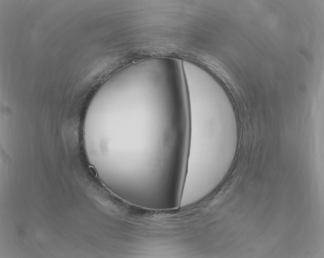 X0000090960501200708021124